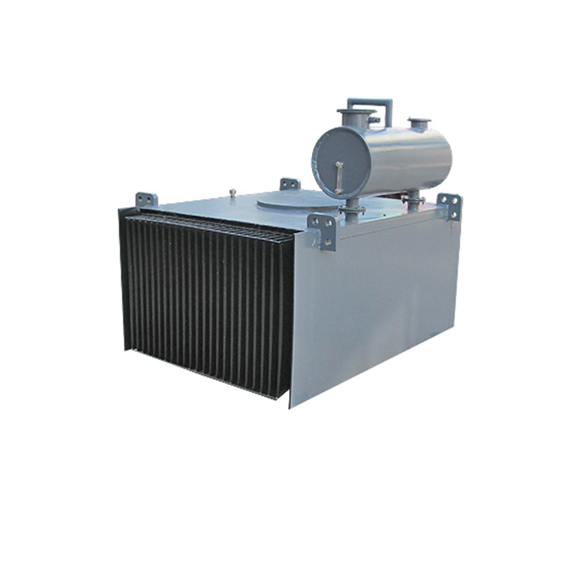 RCDE型油冷電磁榴莲视频毛片